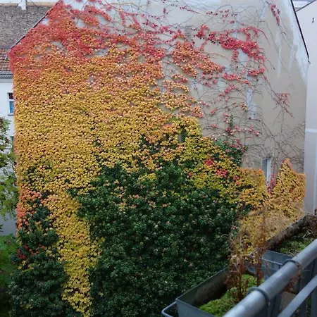 Private In Prenzlauerberg Pansiyon Berlin