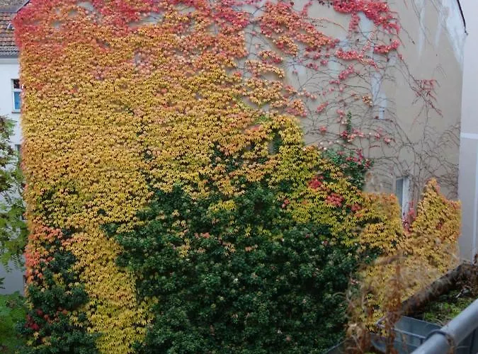 Private In Prenzlauerberg منزل للإقامة برلين